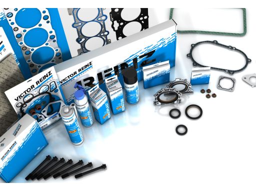 61-36495-00 Uszczelka Głowicy Cylindrów 61-36495-00 Reinz