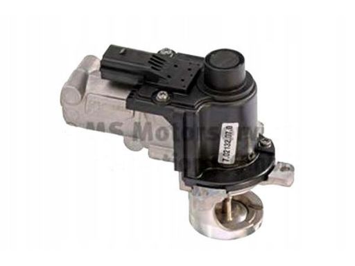 Zawór Egr 7.02132.07.0