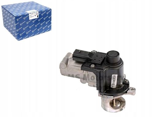 Zawór Egr 7.02132.07.0