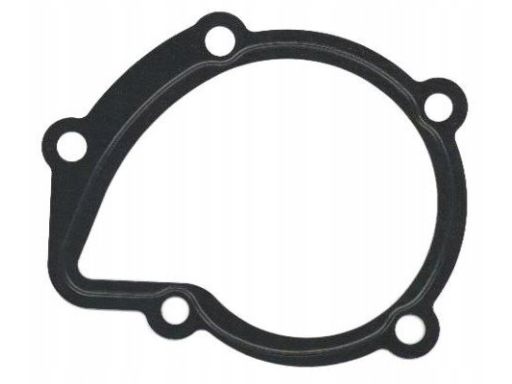 Uszczelka Pompy Cieczy Chłodzącej 754.044