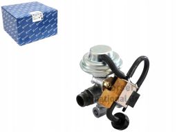 Zawór Egr 7.22136.50.0