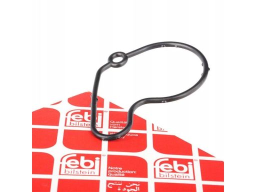 100797 Uszczelka Pompy Podciśnieniowej Fe100797 Febi