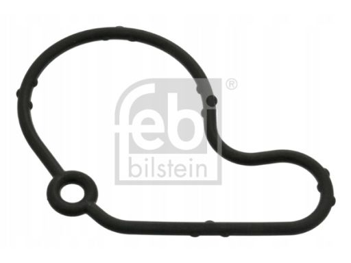 100797 Uszczelka Pompy Podciśnieniowej Fe100797 Febi