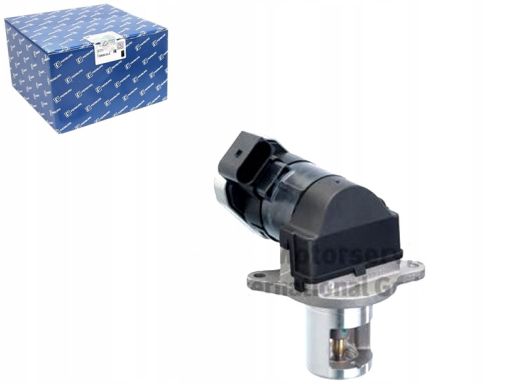 Zawór Egr 7.24809.59.0