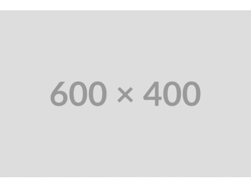 40019 Uszczelniacz Piasty Koła Fe40019 Febi