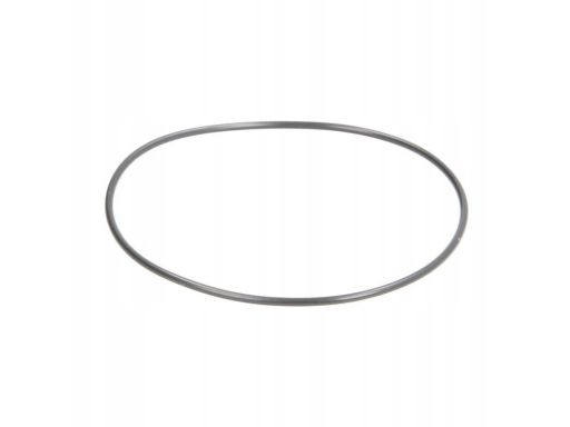 F 00N 202 726 Uszczelniacz F 00N 202 726 Bosch