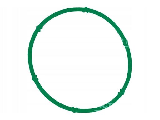 71-34203-00 Uszczelka Kolektora Dolotowego 71-34203-00 Reinz