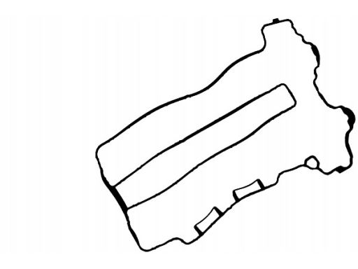 71-35888-00 Uszczelka Pokrywy Zaworów 71-35888-00 Reinz