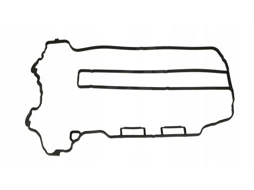 71-35888-00 Uszczelka Pokrywy Zaworów 71-35888-00 Reinz