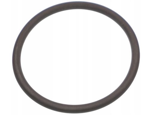 Uszczelka oring przewodu dolotu Mercedes OM642 A0179973545