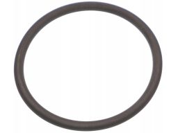 Uszczelka oring przewodu dolotu Mercedes OM642 A0179973545