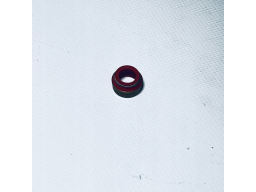 70-39489-00 Uszczelniacz Trzonka Zaworu 70-39489-00 Reinz