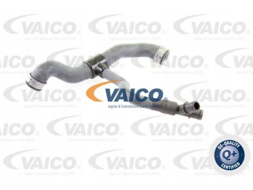 V30-2231 Wąż Chłodnicy V30-2231 Vaico