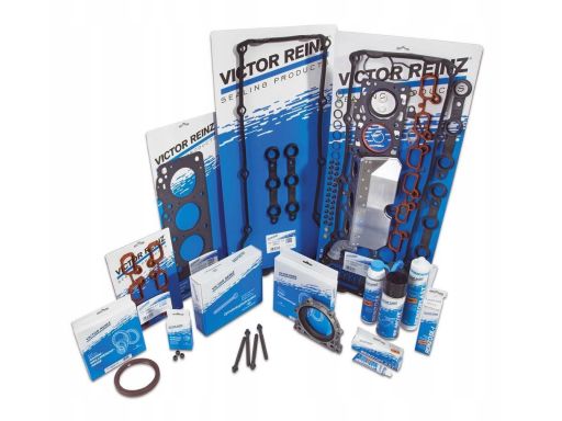 61-29320-00 Uszczelka Głowicy Cylindrów 61-29320-00 Reinz