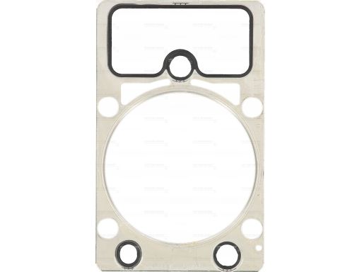 61-36485-00 Uszczelka Głowicy Cylindrów 61-36485-00 Reinz