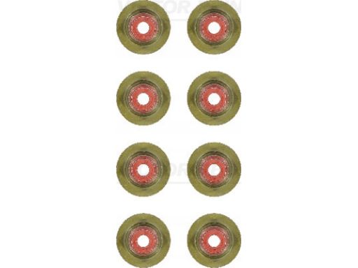 12-35548-01 Zestaw Uszczelniaczy Trzonka Zaworów 12-35548-01 Reinz