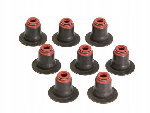 12-35548-01 Zestaw Uszczelniaczy Trzonka Zaworów 12-35548-01 Reinz