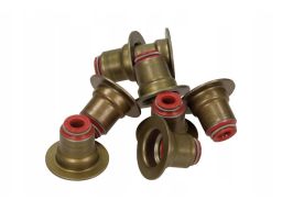 12-35548-01 Zestaw Uszczelniaczy Trzonka Zaworów 12-35548-01 Reinz