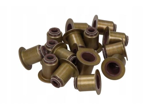 12-38539-01 Zestaw Uszczelniaczy Trzonka Zaworów 12-38539-01 Reinz