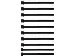 14-10383-01 Zestaw Śrub Głowicy Cylindrów 14-10383-01 Reinz