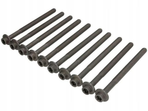 14-13249-01 Zestaw Śrub Głowicy Cylindrów 14-13249-01 Reinz