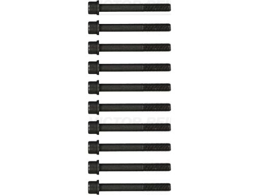 14-32160-01 Zestaw Śrub Głowicy Cylindrów 14-32160-01 Reinz