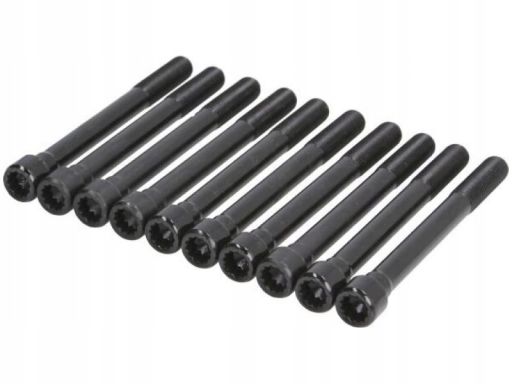 14-32356-01 Zestaw Śrub Głowicy Cylindrów 14-32356-01 Reinz