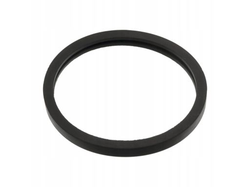 05156 Uszczelka Termostatu Fe05156 Febi