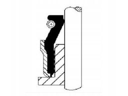 19036943 Uszczelniacz Trzonka Zaworu Co19036943 Corteco