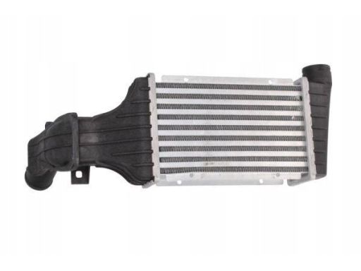 Dbg017Tt Zbiorniczek Wyrównawczy Płynu Chłodząceg Dbg017Tt Thermotec