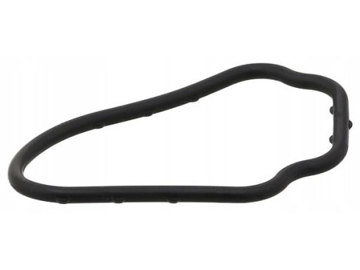 Uszczelka Obudowy Termostatu 917.931