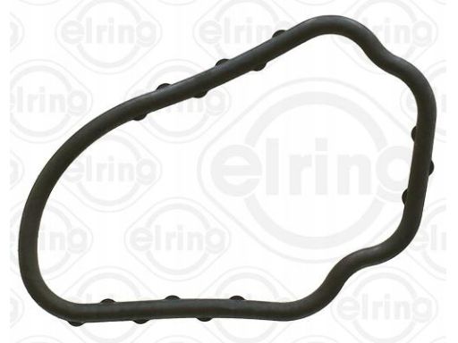 Uszczelka Obudowy Termostatu 917.931