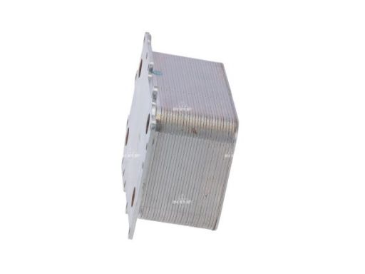 31231 Chłodnica Oleju Nrf 31231 Nrf