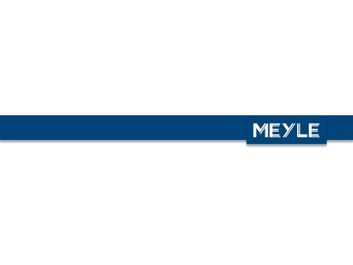 100 127 0008 Filtr Paliwa Meyle
