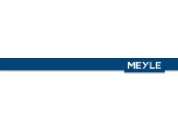 100 127 0008 Filtr Paliwa Meyle