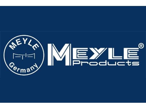 014 019 2300 Olej Atf 1L Dex Iiih / Lt 711 41 / G 052 Meyle