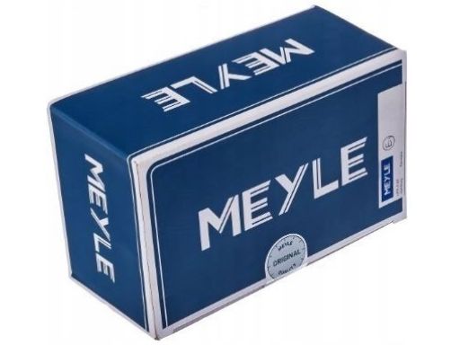 100 323 0013 Filtr Paliwa Meyle