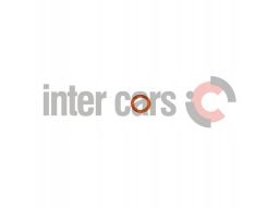 1 410 105 021 Element Pompy Paliwa Bosch