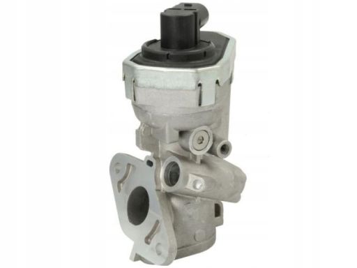 48376 Zawór Egr Nrf