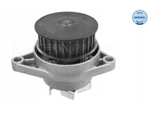 113 012 0024 Pompa Cieczy Chłodzącej Meyle