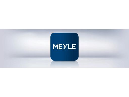 35-16 060 0037 Łącznik/Wspornik Stabilizatora Meyle