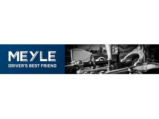 16-15 523 4125 Tarcza Ham. Renault T. Megane 1,0-1,8 15 Meyle