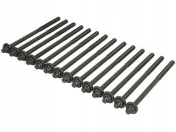 234.640 Zestaw Śrub Głowicy Cylindrów Elring