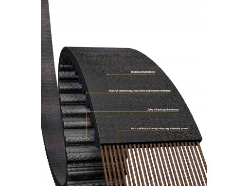 Ct1030 Pasek Rozrządu Continental Ctam Con