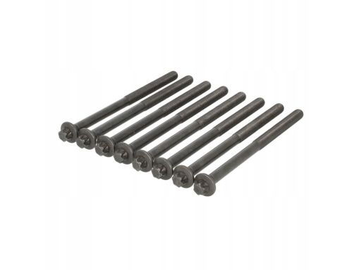 258.920 Zestaw Śrub Głowicy Cylindrów Elring