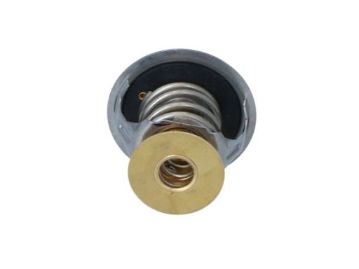 725263 Termostat Środka Chłodzącego Nrf