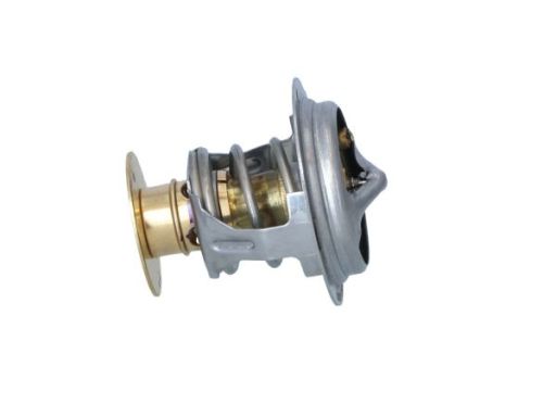 725263 Termostat Środka Chłodzącego Nrf