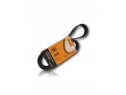 5Pk820 Pasek Wieloklinowy Continental Ctam Con