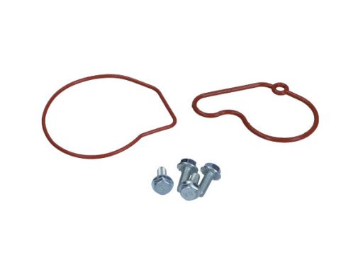 27-2017 Zestaw Napr. Pompy Próżniowej Vw 1,9Tdi Maxgear