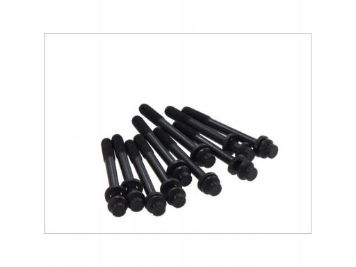 003.930 Zestaw Śrub Głowicy Cylindrów Elring